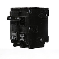 125 Amp (125A) 2 Pole Plug-In Breaker