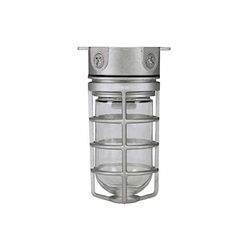 RAB DESIGN 099207 Watertight Fixture 100 W 120 V