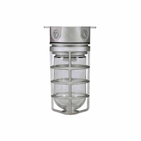 RAB DESIGN 099207 Watertight Fixture 100 W 120 V