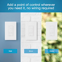 Caseta Remote Control 2 Button Switch with Light