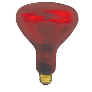 STANDARD PRODUCTS 10252 Generic Incandescent Lamp R40 250 W E26 Medium