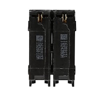 100 Amp (100A) 2 Pole Breaker