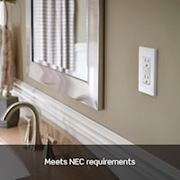 LEVITON GFTR1-GY GFCI GFCI Duplex Receptacle 15 A, Gray