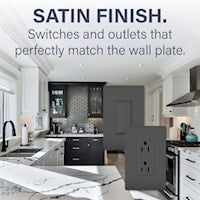 LEGRAND RWP26BK The Radiant® Wallplate 1 Gangs Black 4.94 in Lx 3.15 in W