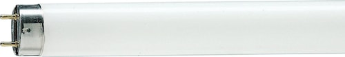 PHILIPS 407197 T8 Linear Fluorescent 15 W 4100 K