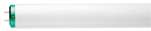 T12 Fluorescent 40W 6500K