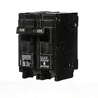 125 Amp (125A) 2 Pole Plug-In Breaker