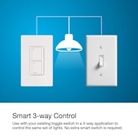 Caseta Wireless Remote Control Switch