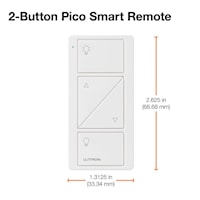 Caseta Remote Control 2 Button Switch with Light