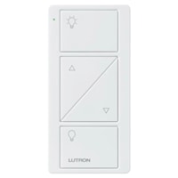 Caseta Remote Control 2 Button Switch with Light