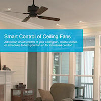 Caseta Wireless Remote Control Switch
