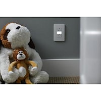 LEGRAND NTL885TRW The Radiant® Receptacle and Light 15 A, 120/125 VAC, White