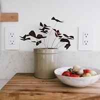 LEGRAND RWP26W The Radiant® Wallplate 1 Gangs White 4.94 in Lx 3.15 in W