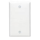 Leviton 1-Gang Nylon Blank Wallplate, Model 80714-002